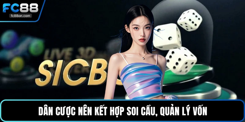 Dân cược nên kết hợp soi cầu, quản lý vốn