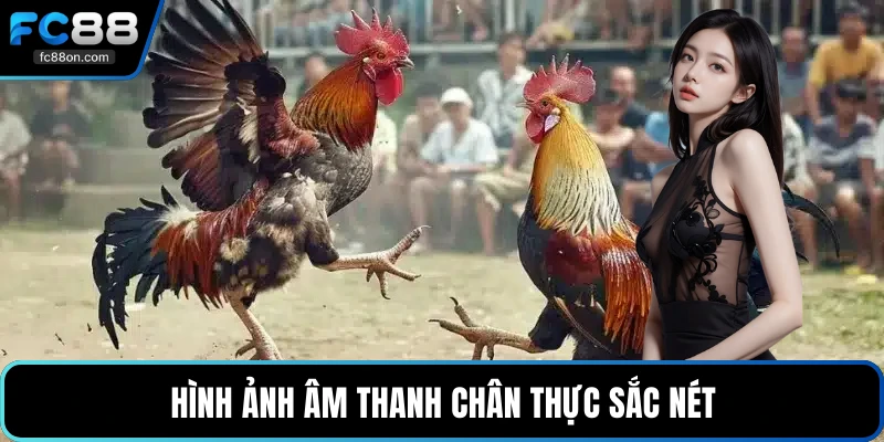 Hình ảnh âm thanh chân thực sắc nét