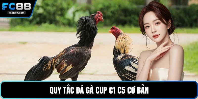 Quy tắc đá gà cup C1 C5 cơ bản