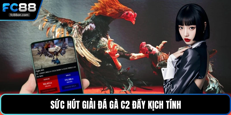 Sức hút giải đá gà C2 đầy kịch tính